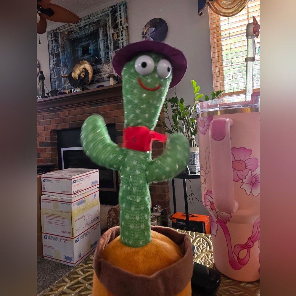 Dancing Cactus Toy with Hat